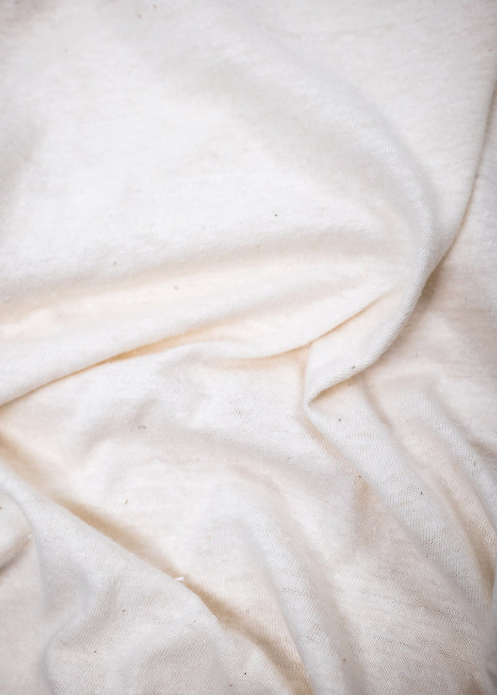 Organic Hemp Tee - Paranoid Ranch