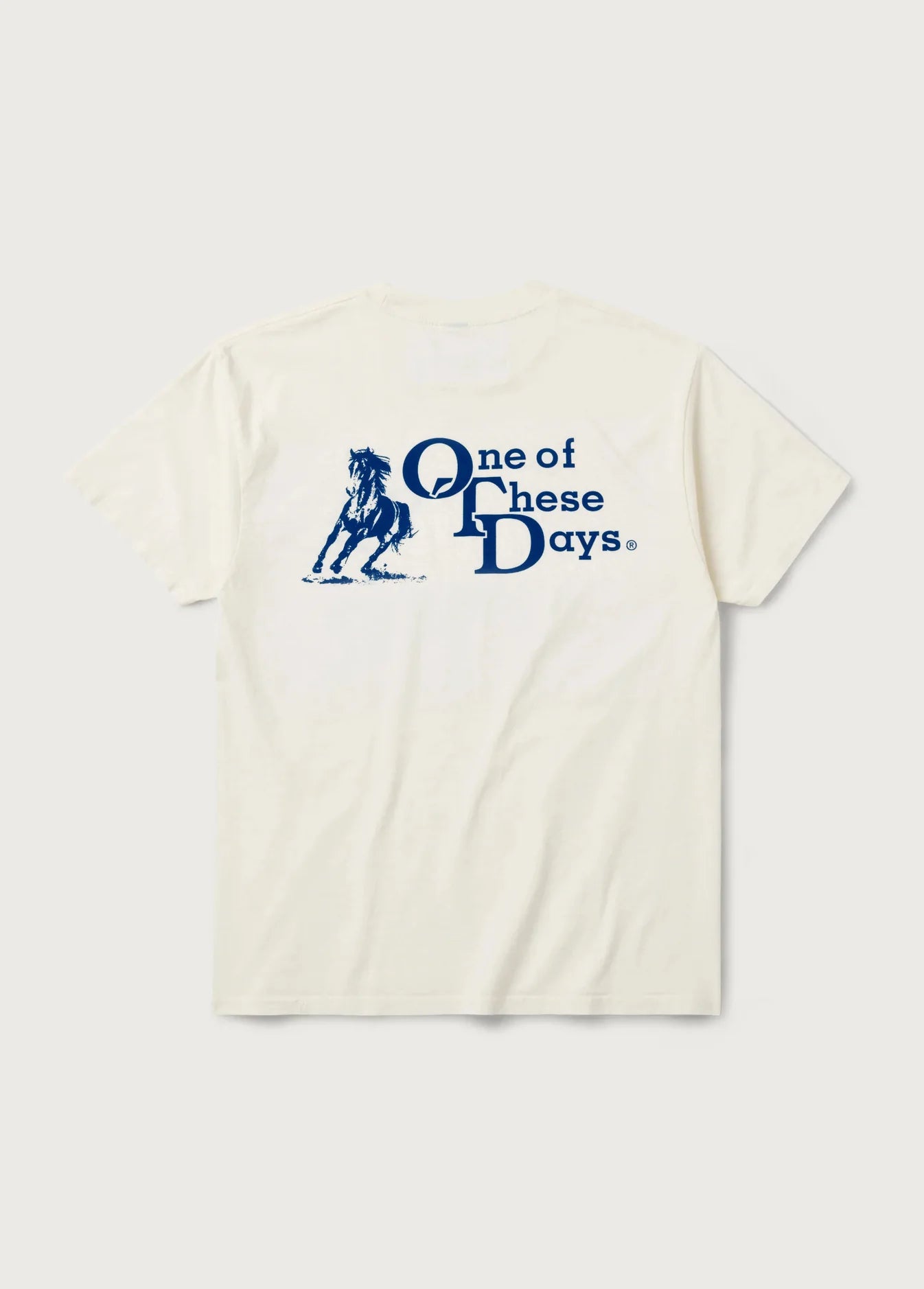 OTD Stacked Logo Tee | Bone - Paranoid Ranch