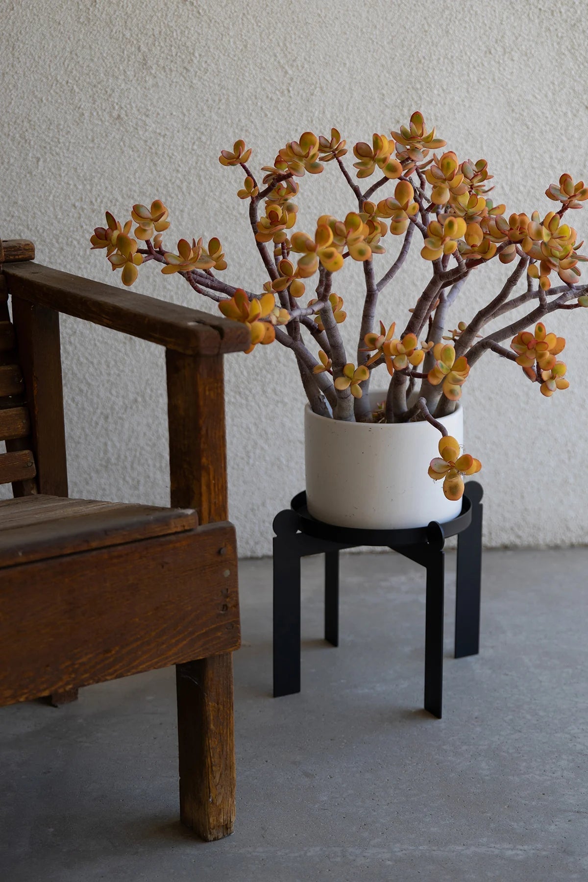 PALLA - Black | Plant Stand - Paranoid Ranch
