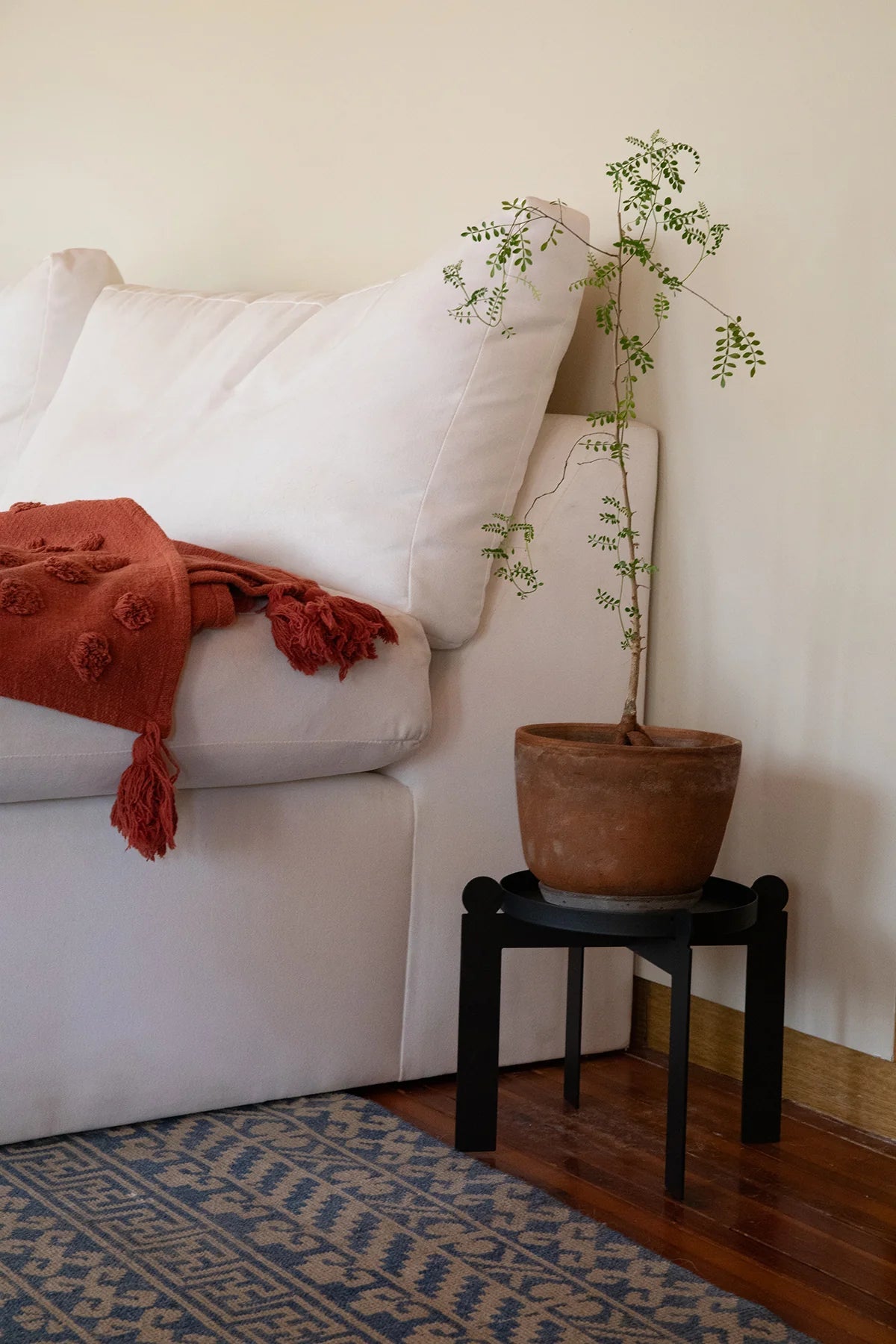 PALLA - Black | Plant Stand - Paranoid Ranch