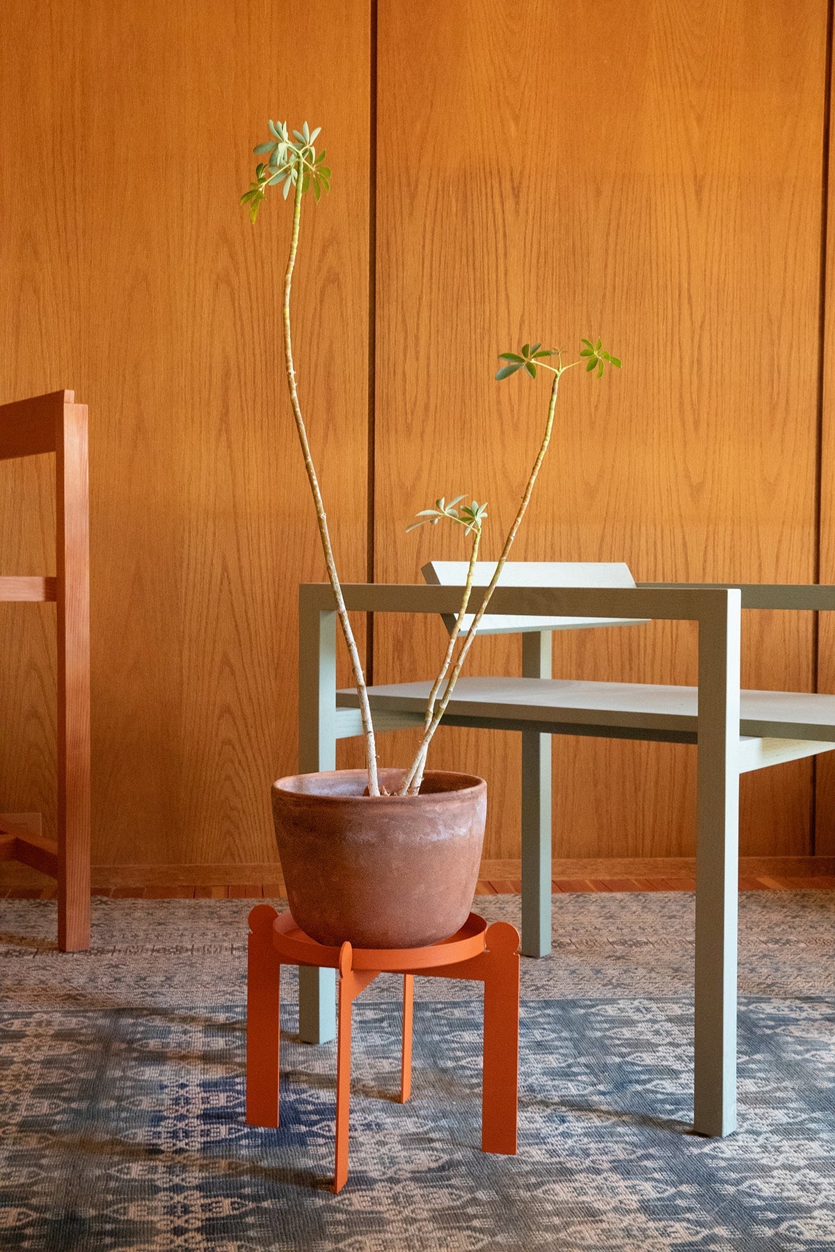 PALLA - Burnt Orange | Plant Stand - Paranoid Ranch