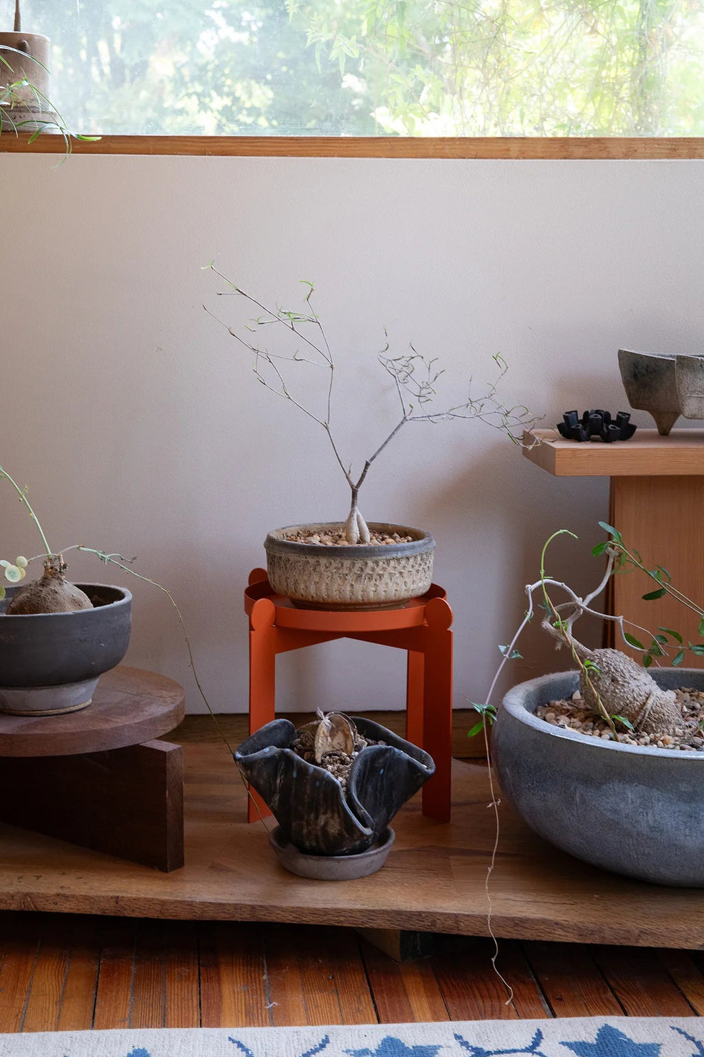 PALLA - Burnt Orange | Plant Stand - Paranoid Ranch