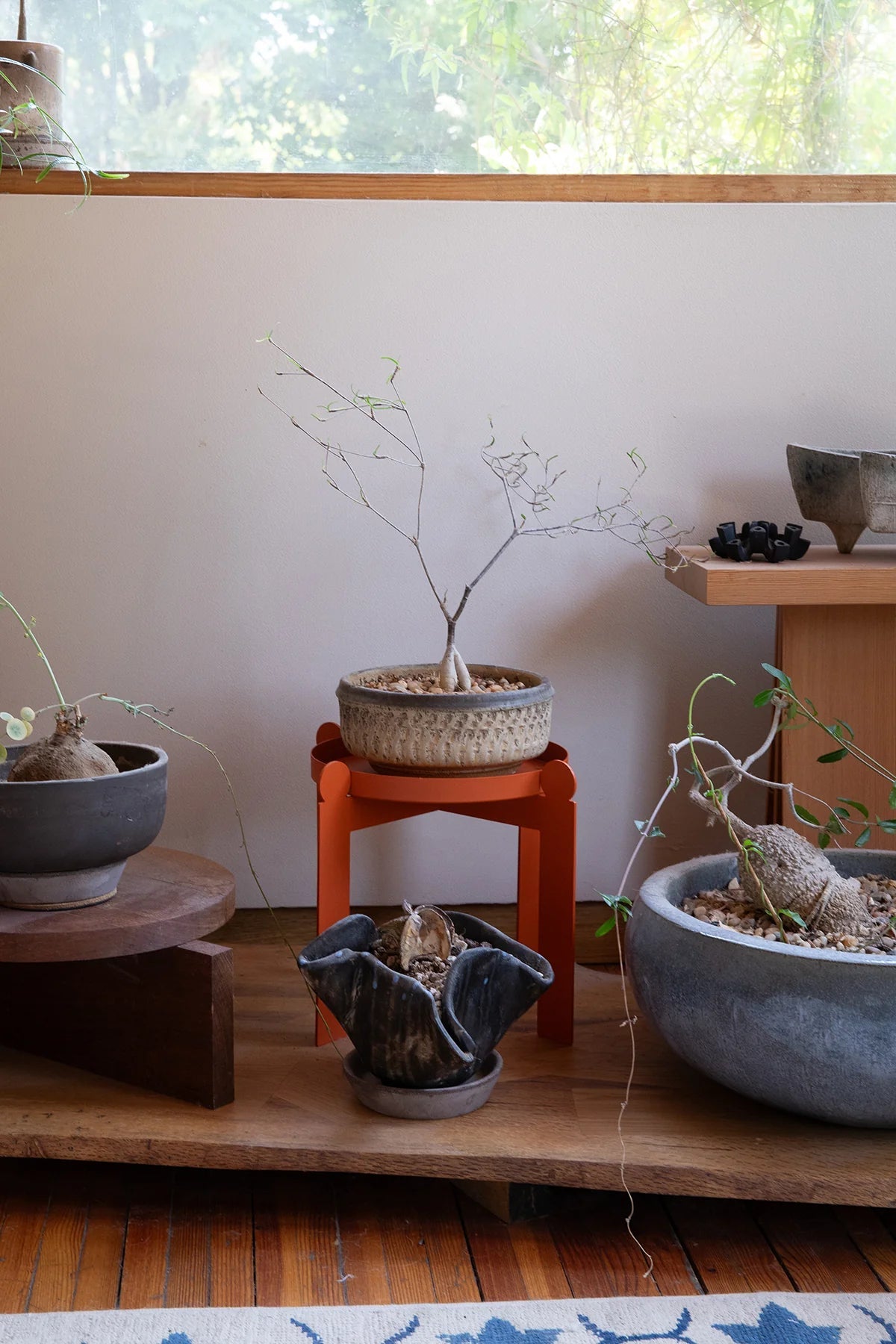 PALLA - Burnt Orange | Plant Stand - Paranoid Ranch