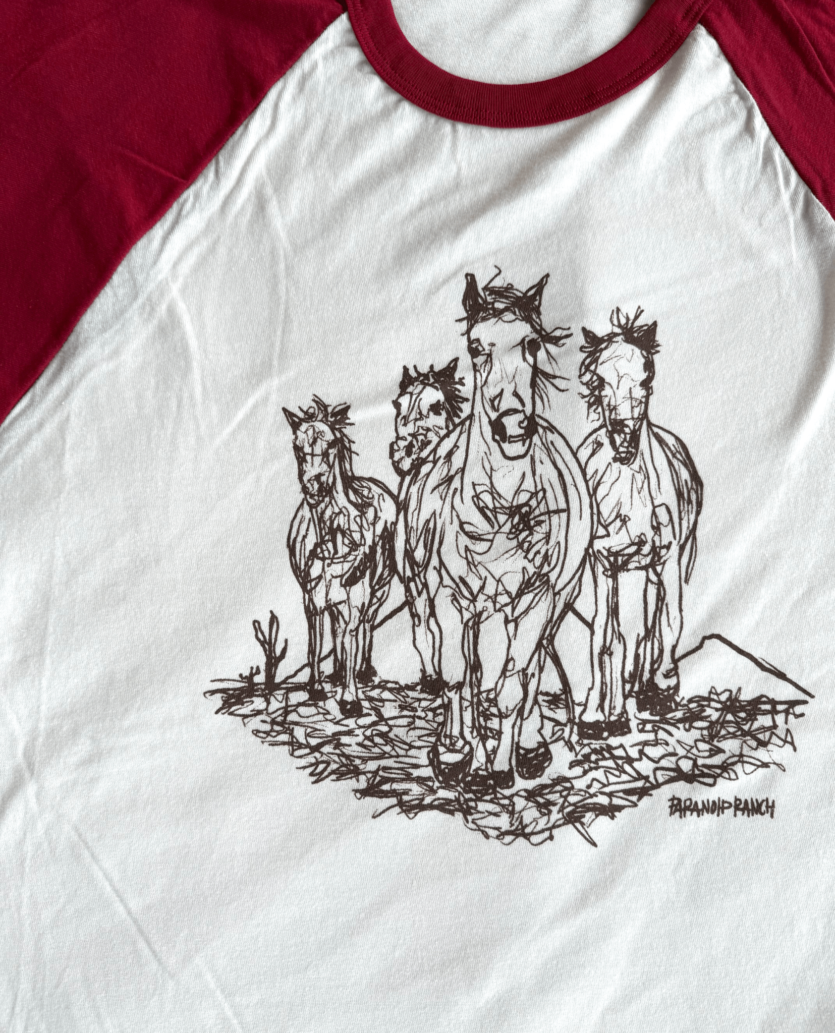 Paranoid Lambert Raglan - Paranoid Ranch