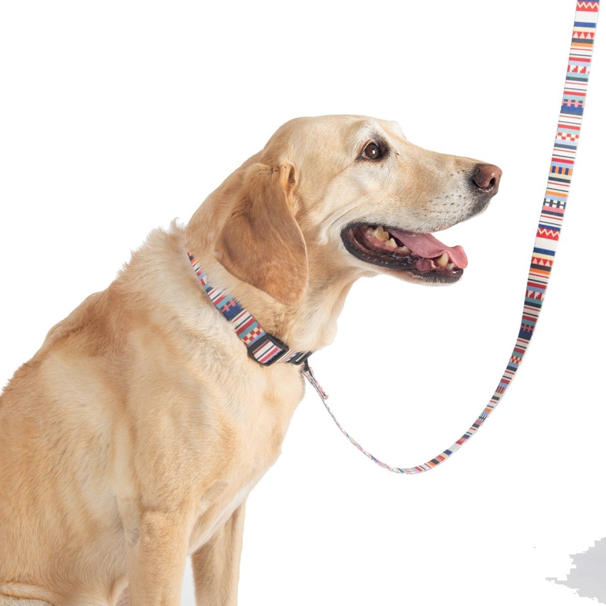 Pendleton Adventure Collar - Paranoid Ranch
