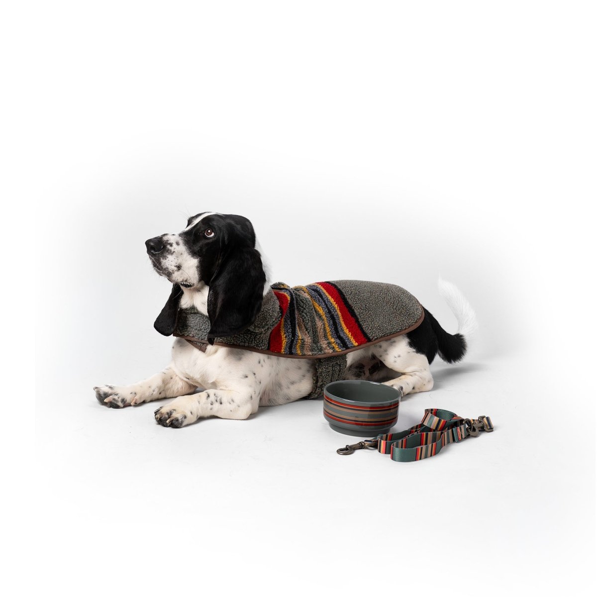 Pendleton Adventure Leash - Paranoid Ranch