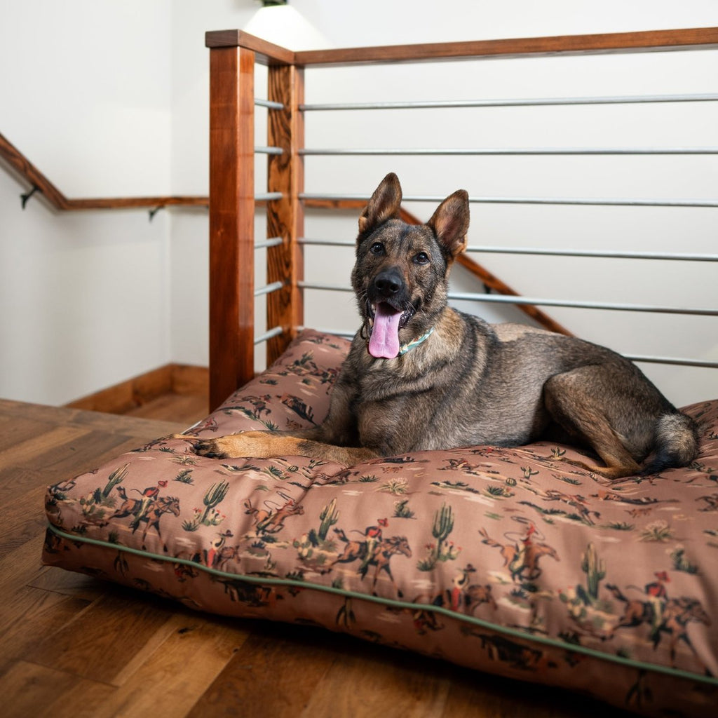 Pendleton All Season Pet Napper - Paranoid Ranch
