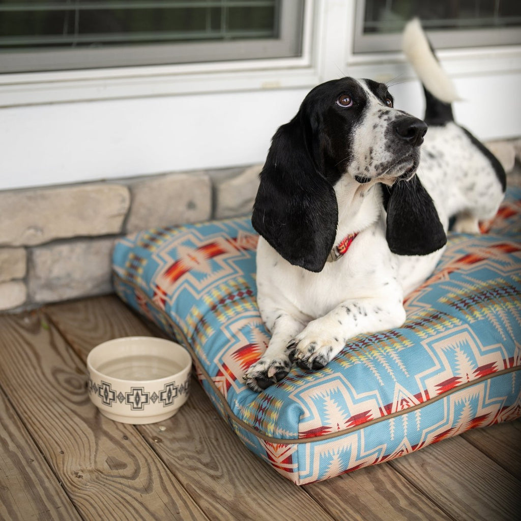 Pendleton All Season Pet Napper - Paranoid Ranch