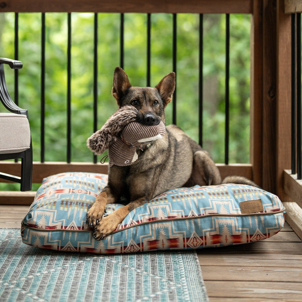 Pendleton All Season Pet Napper - Paranoid Ranch