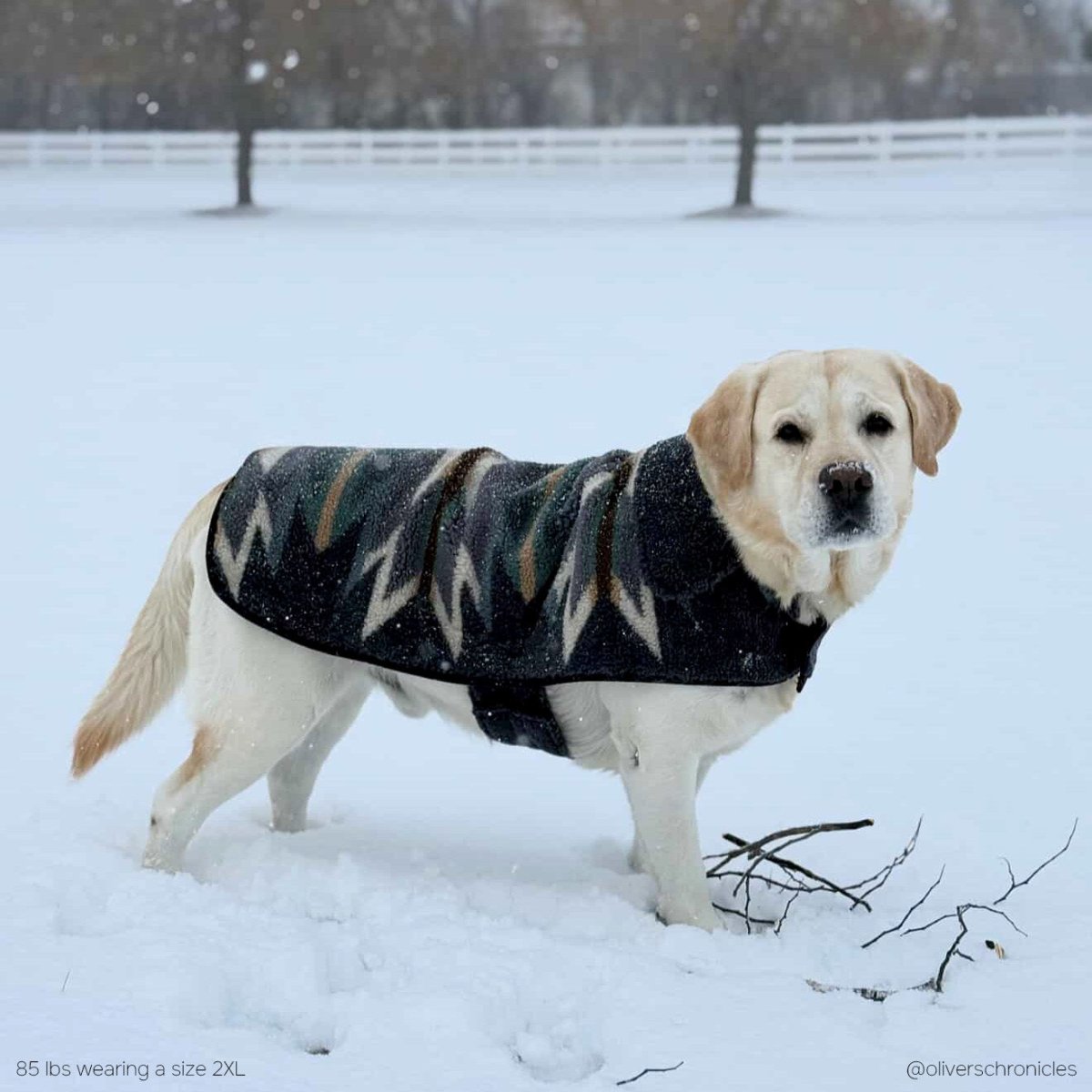 Pendleton Berber Dog Coat - Paranoid Ranch