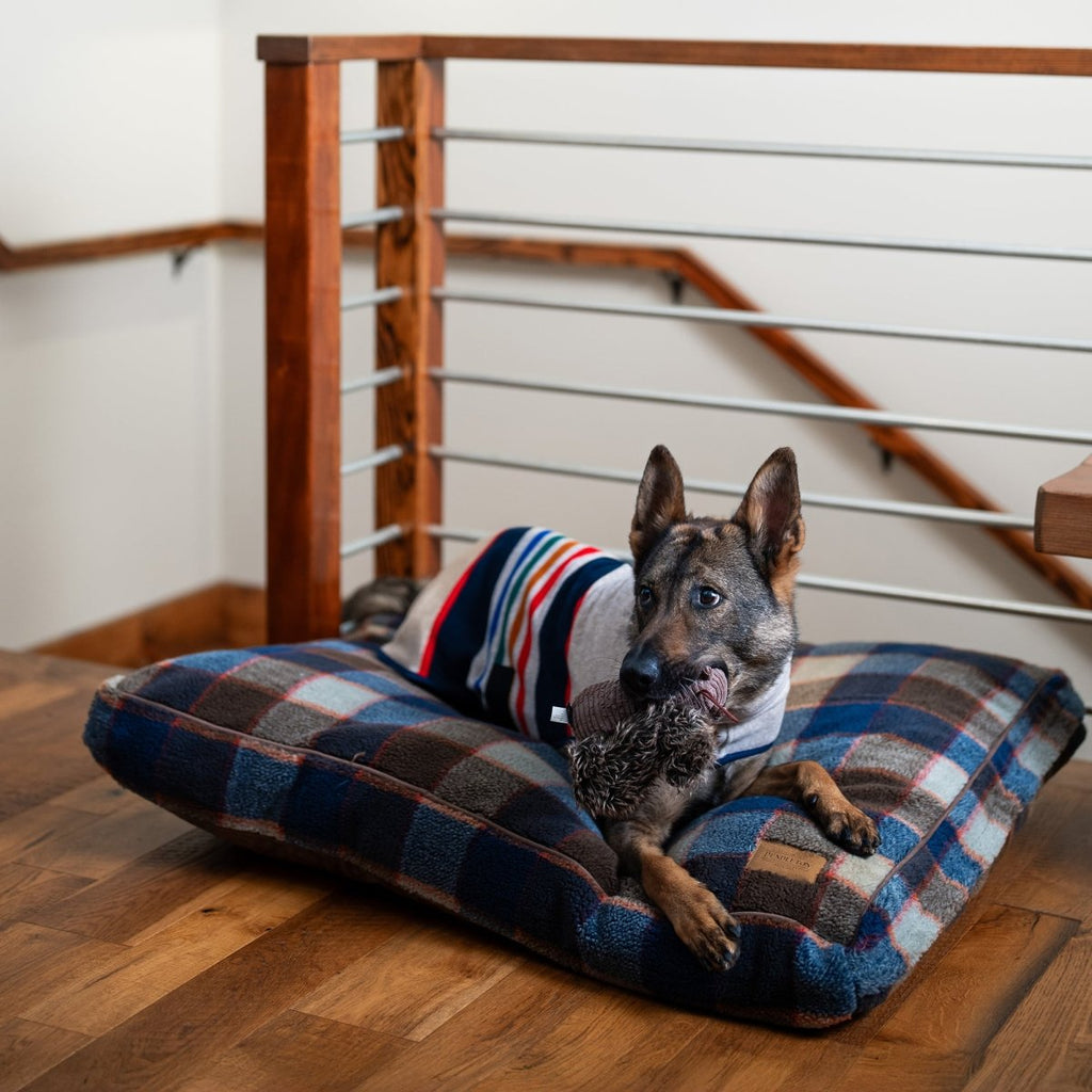 Pendleton Berber Pet Napper - Paranoid Ranch