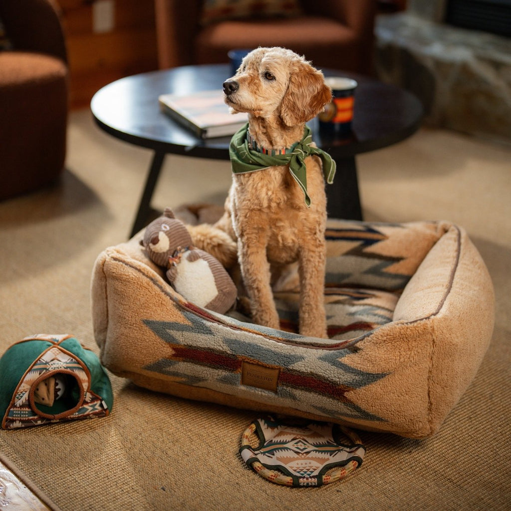 Pendleton Camp Discovery Tent Set Dog Plush Toy - Paranoid Ranch