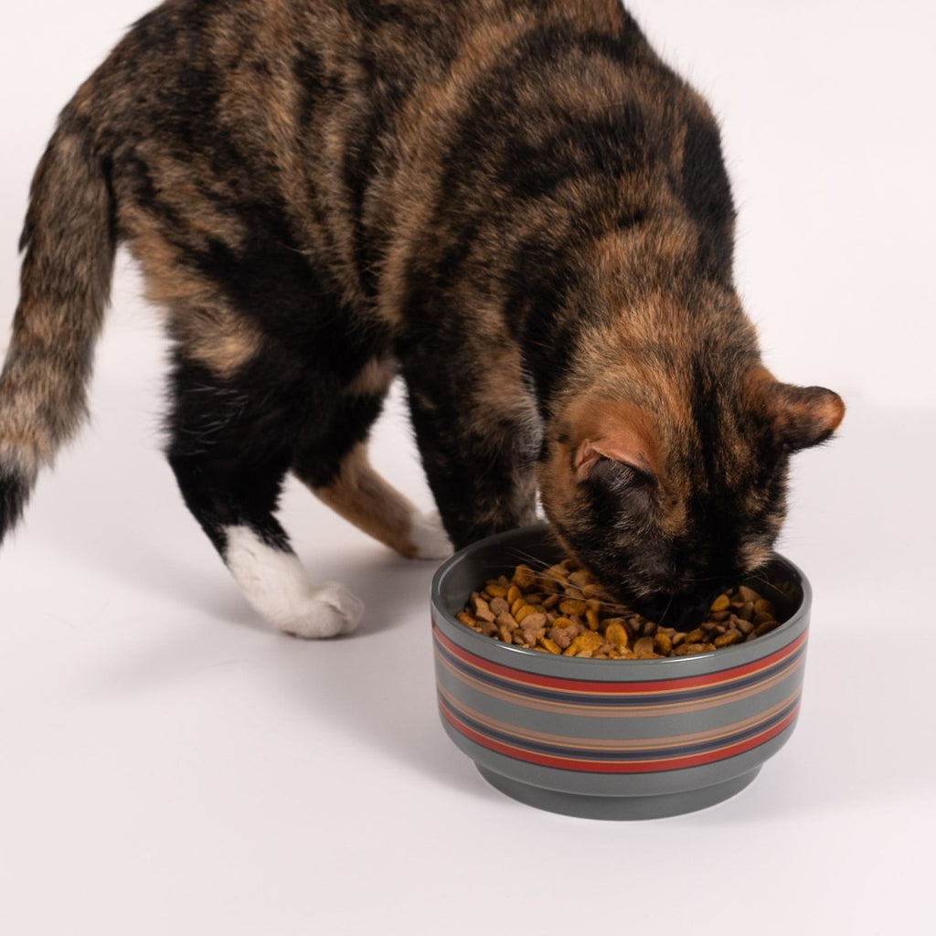 Pendleton Ceramic Food & Water Pet Bowl - Paranoid Ranch
