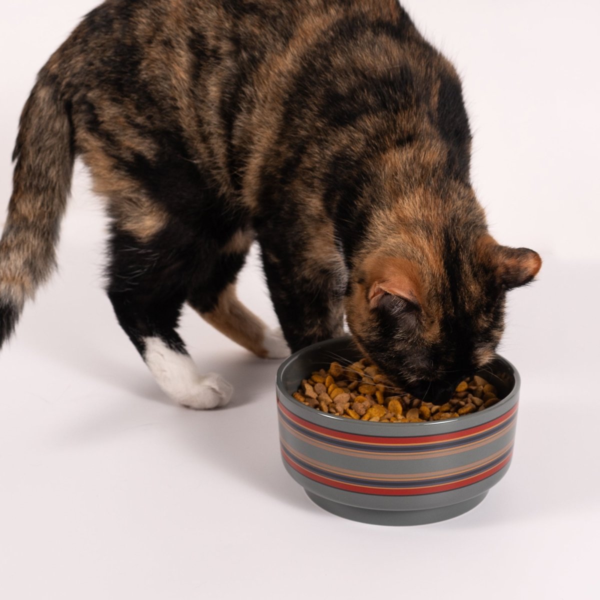 Pendleton Ceramic Food & Water Pet Bowl - Paranoid Ranch