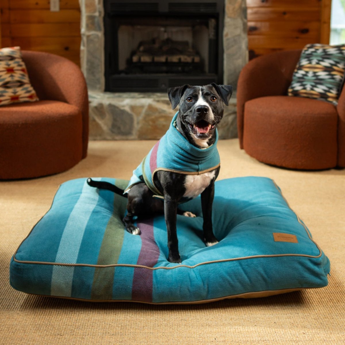 Pendleton Classic Pet Napper - Paranoid Ranch