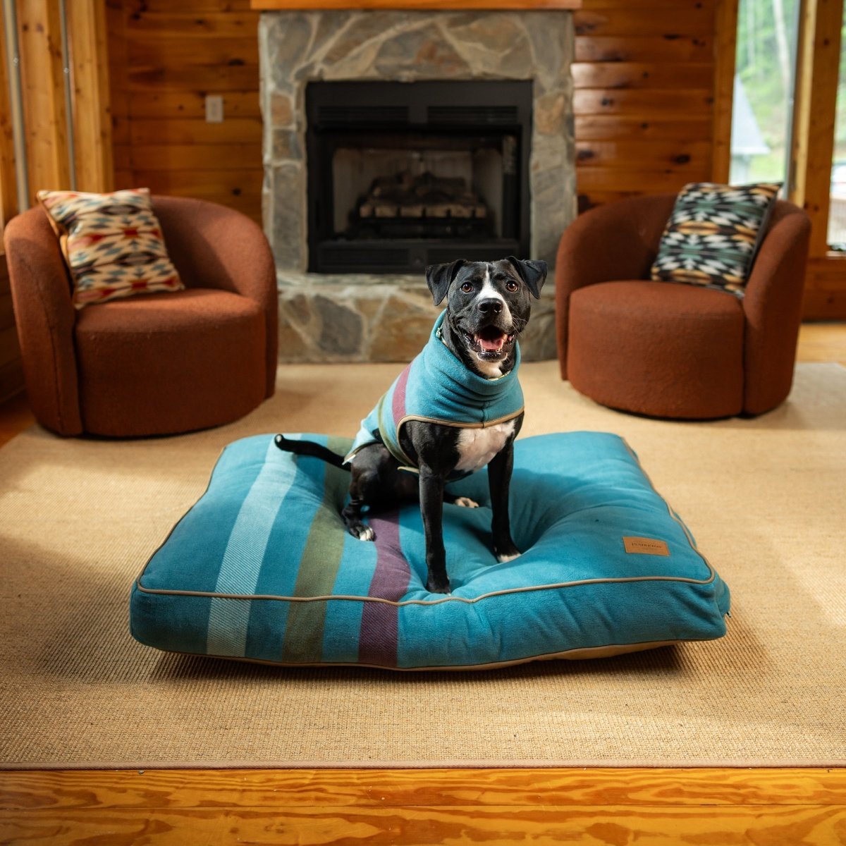 Pendleton® Dog Vest - Paranoid Ranch