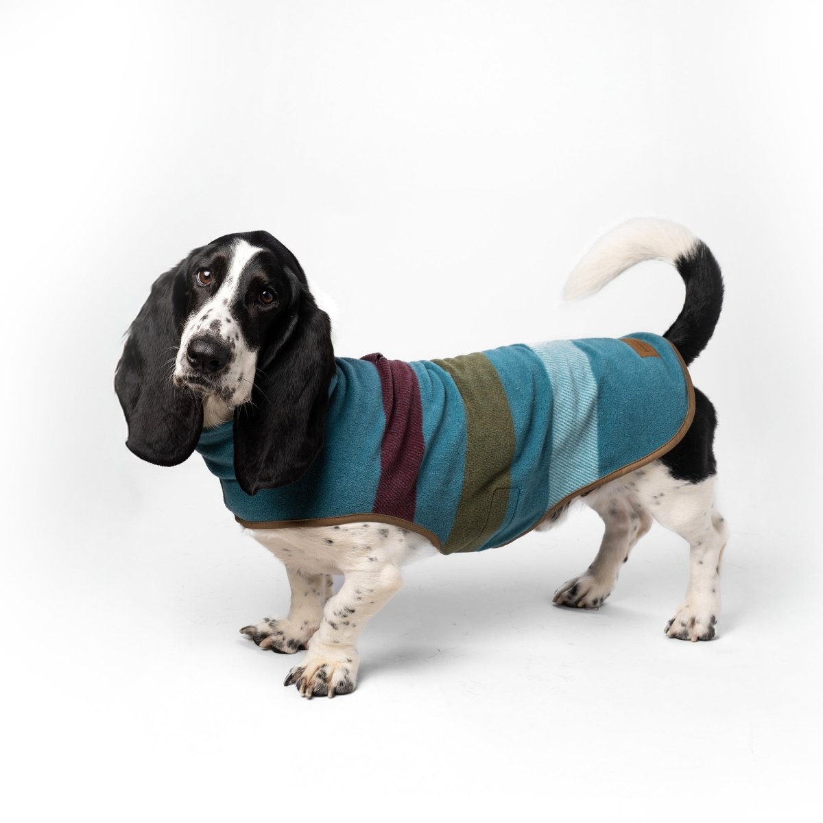 Pendleton® Dog Vest - Paranoid Ranch