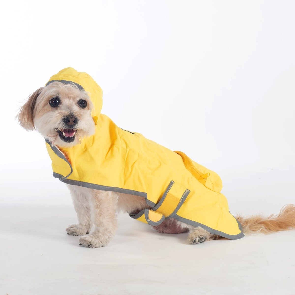 Pendleton Glacier National Park Waterproof Raincoat for Dogs - Paranoid Ranch