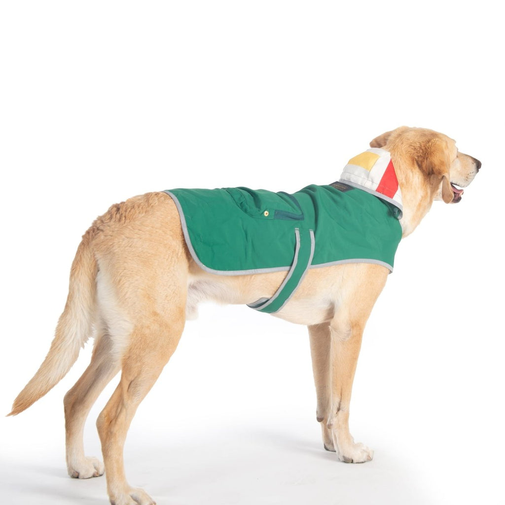 Pendleton Glacier National Park Waterproof Raincoat for Dogs - Paranoid Ranch