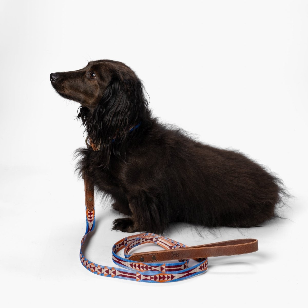 Pendleton Heritage Leash - Paranoid Ranch