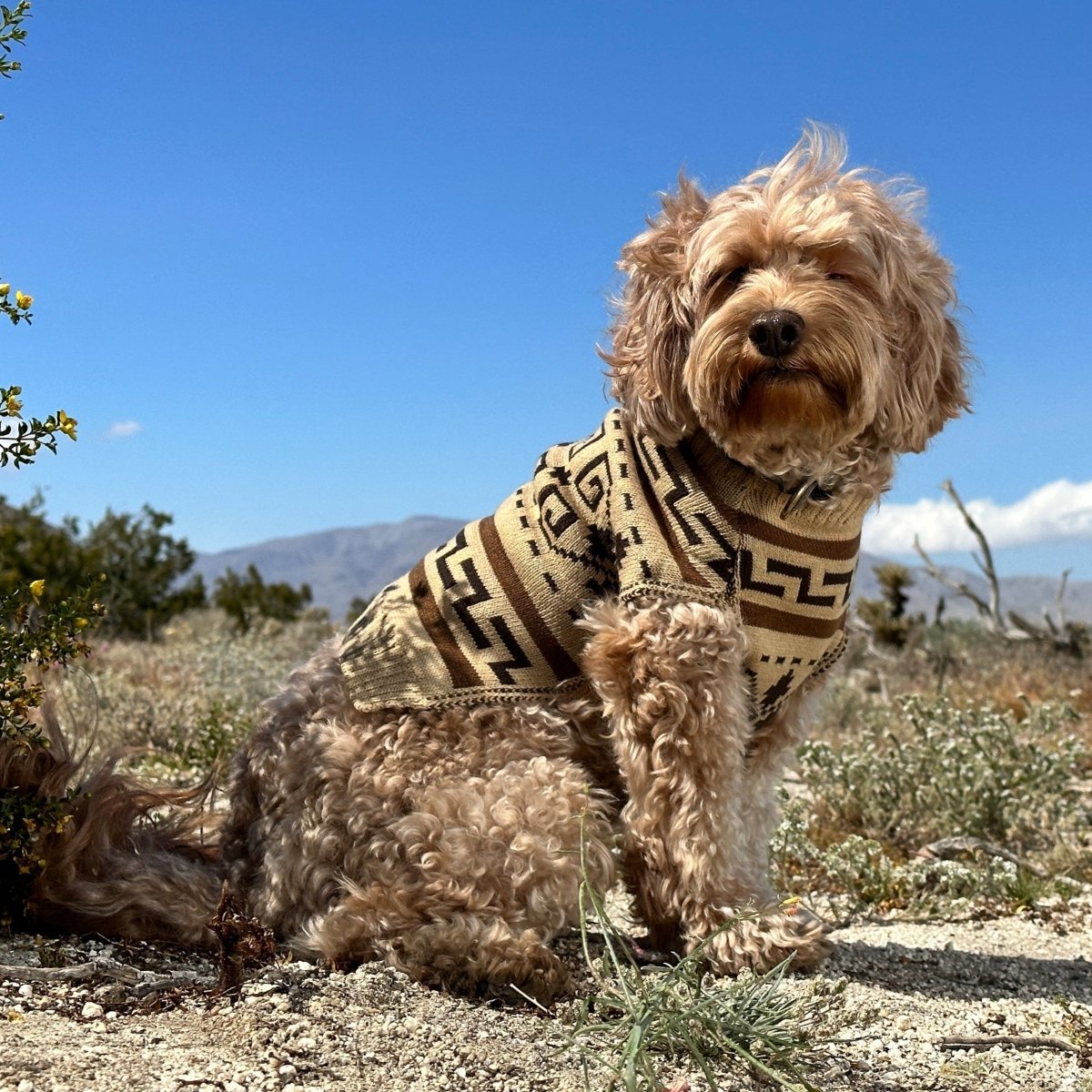 Pendleton Knitted Dog Sweater - Paranoid Ranch