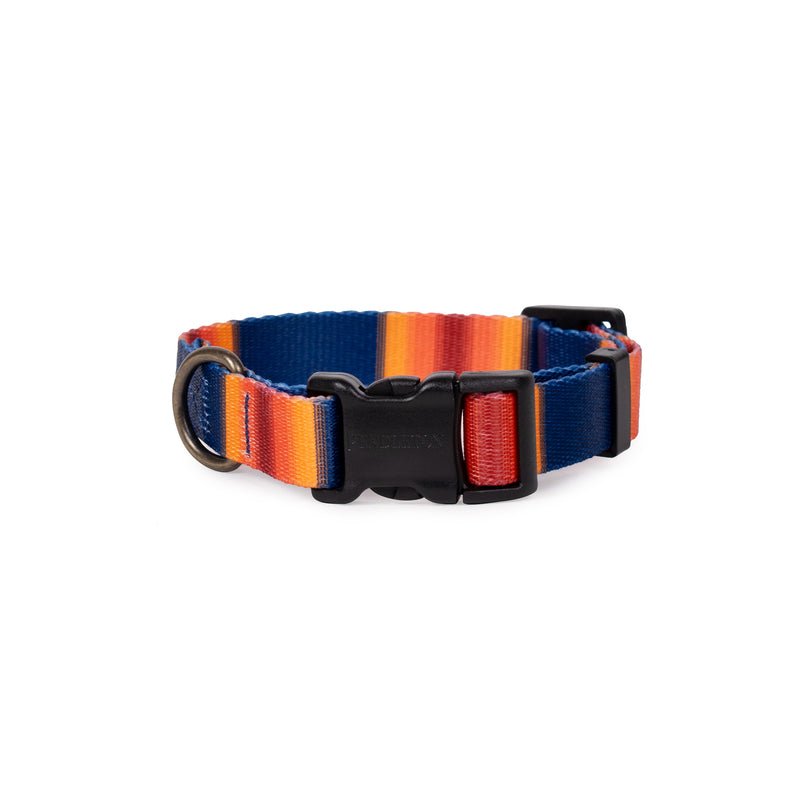 Pendleton National Park Adventure Dog Collar