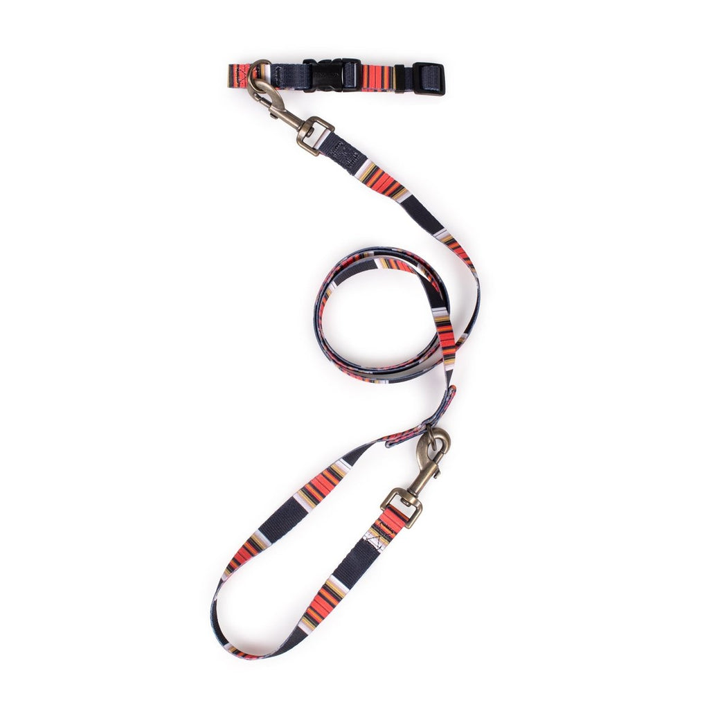 Pendleton National Park Adventure Dog Collar