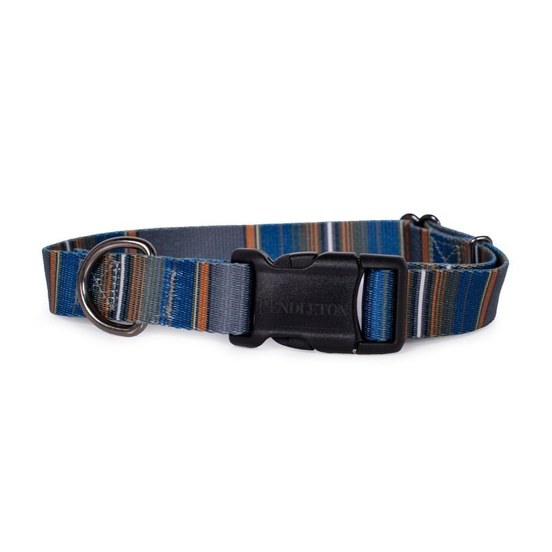 Pendleton National Park Adventure Dog Collar - Paranoid Ranch