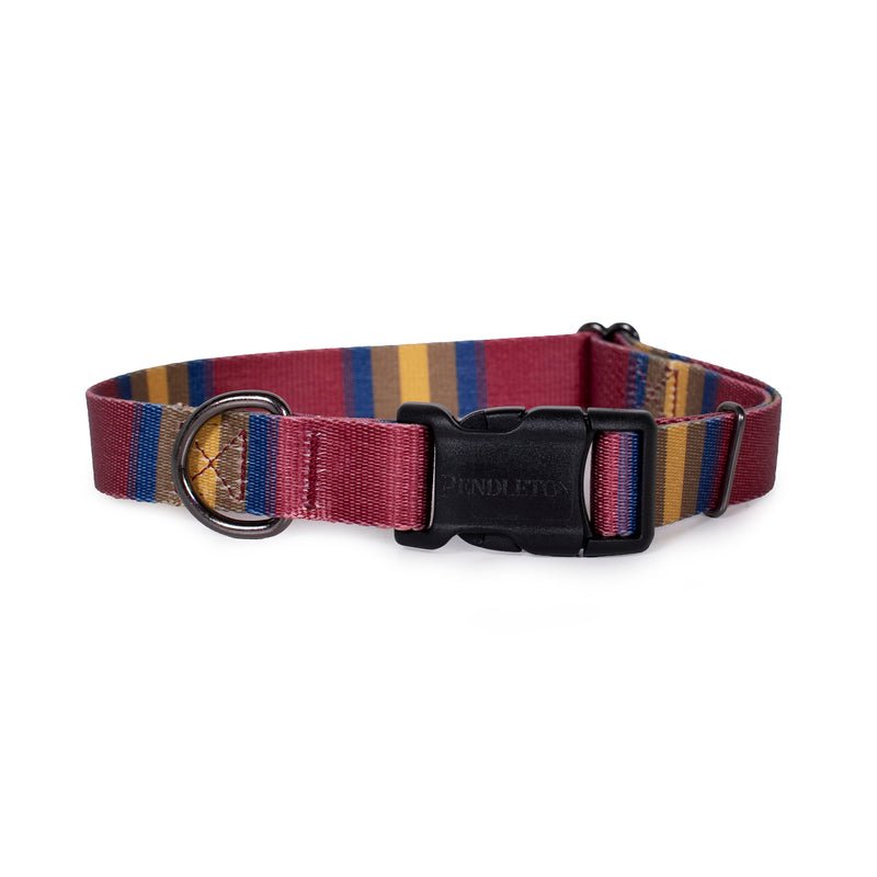 Pendleton National Park Adventure Dog Collar - Paranoid Ranch