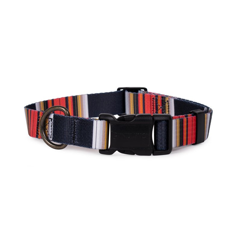 Pendleton National Park Adventure Dog Collar - Paranoid Ranch