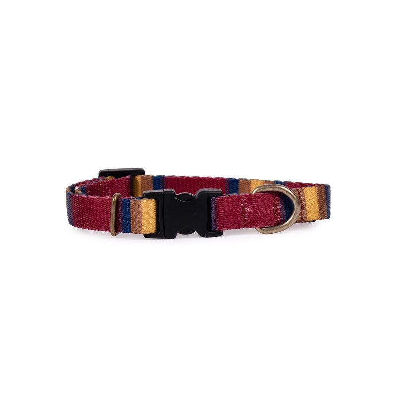 Pendleton National Park Adventure Dog Collar - Paranoid Ranch