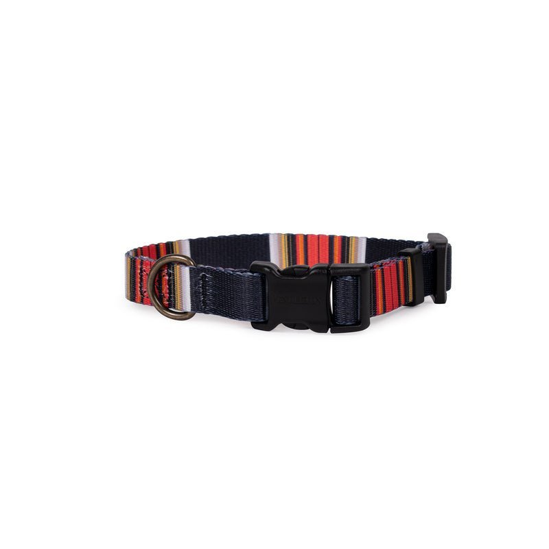 Pendleton National Park Adventure Dog Collar - Paranoid Ranch
