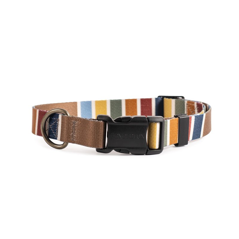 Pendleton National Park Adventure Dog Collar - Paranoid Ranch