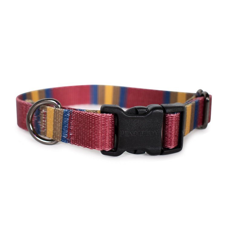 Pendleton National Park Adventure Dog Collar - Paranoid Ranch