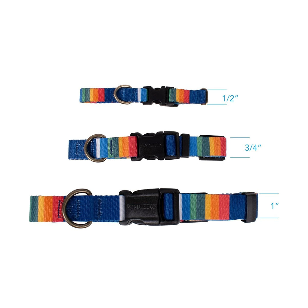 Pendleton National Park Adventure Dog Collar - Paranoid Ranch