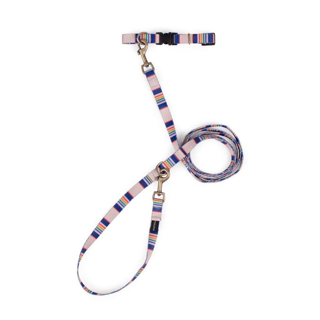 Pendleton National Park Adventure Dog Collar - Paranoid Ranch