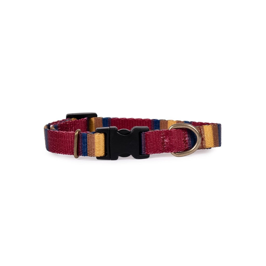 Pendleton National Park Adventure Dog Collar - Paranoid Ranch