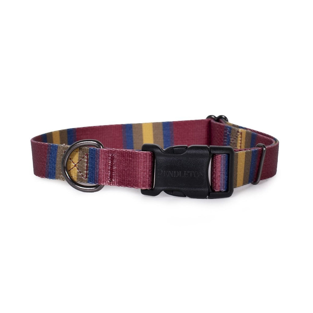 Pendleton National Park Adventure Dog Collar - Paranoid Ranch