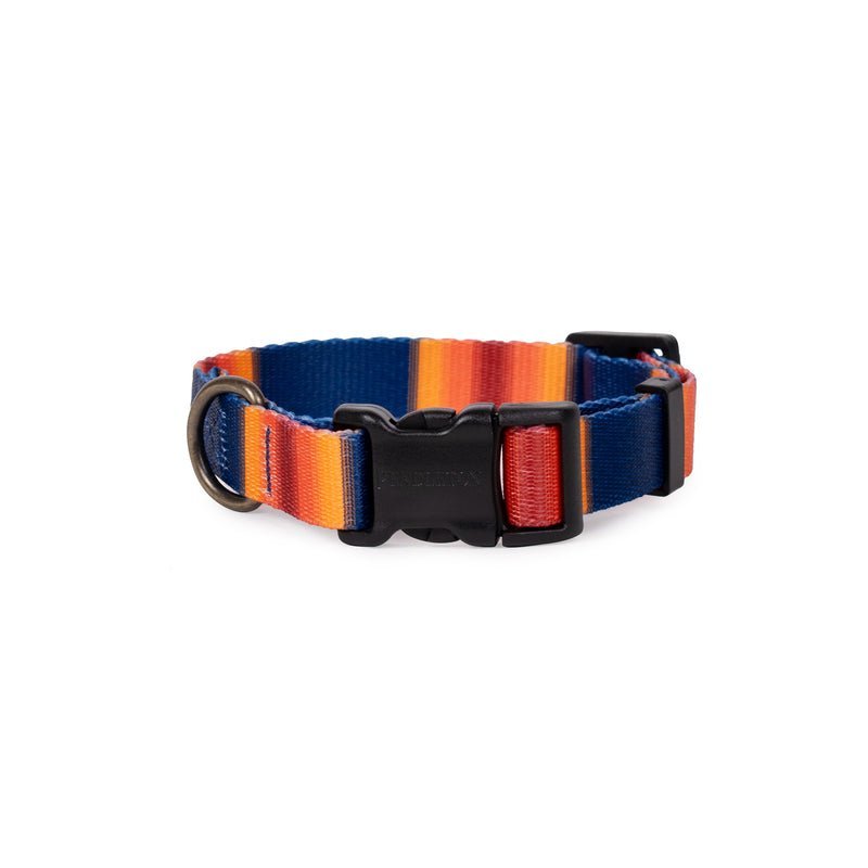 Pendleton National Park Adventure Dog Collar - Paranoid Ranch
