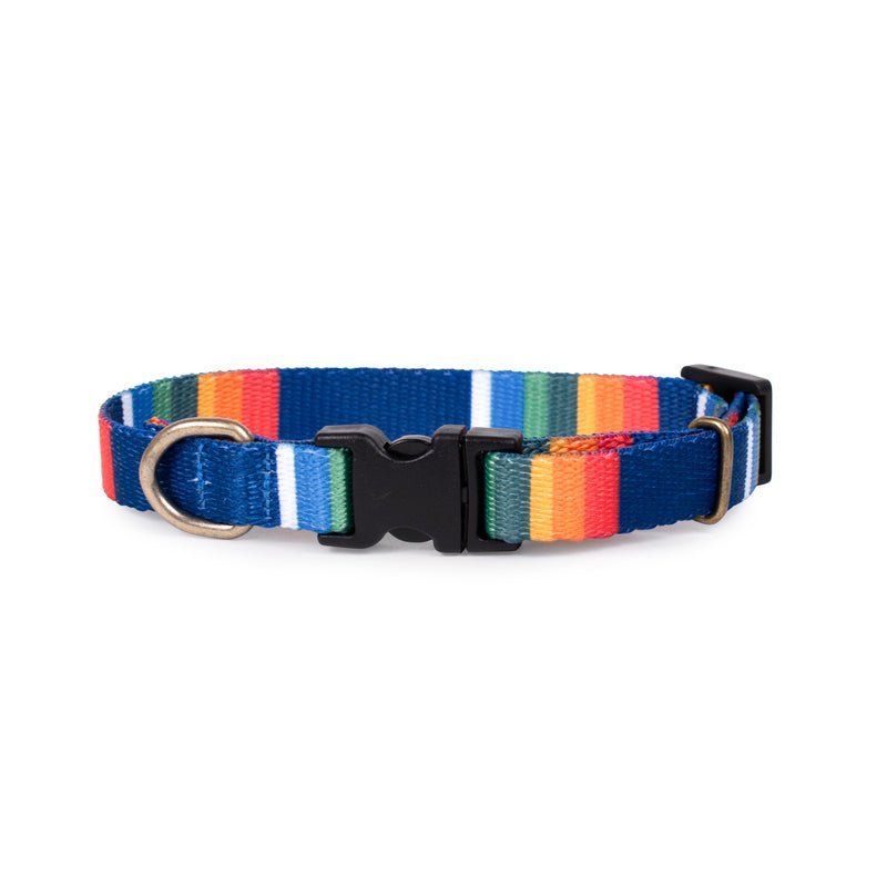 Pendleton National Park Adventure Dog Collar - Paranoid Ranch