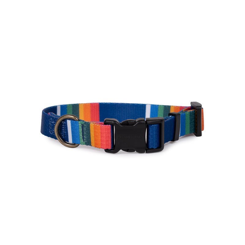 Pendleton National Park Adventure Dog Collar - Paranoid Ranch