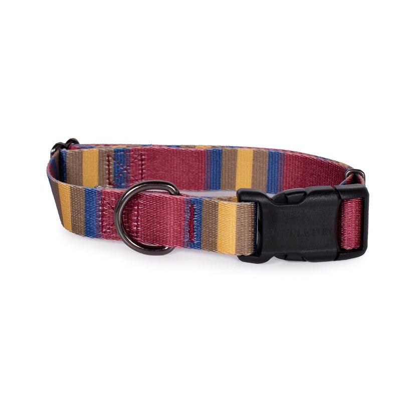 Pendleton National Park Adventure Dog Collar - Paranoid Ranch