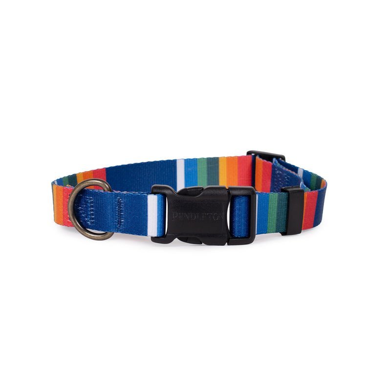 Pendleton National Park Adventure Dog Collar - Paranoid Ranch