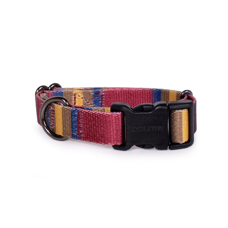 Pendleton National Park Adventure Dog Collar - Paranoid Ranch