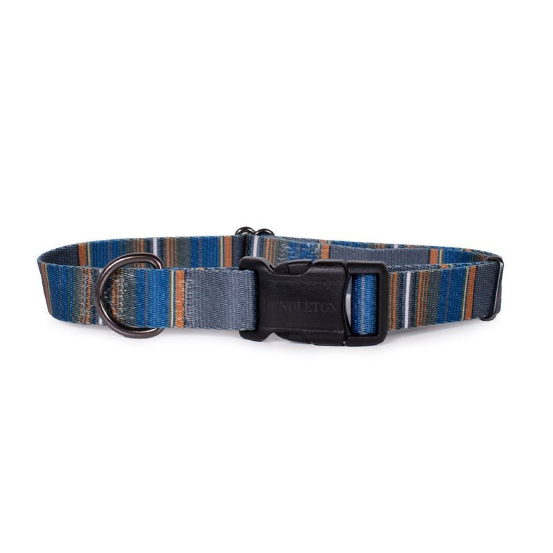 Pendleton National Park Adventure Dog Collar - Paranoid Ranch