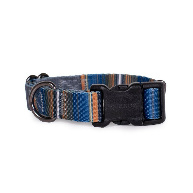 Pendleton National Park Adventure Dog Collar - Paranoid Ranch