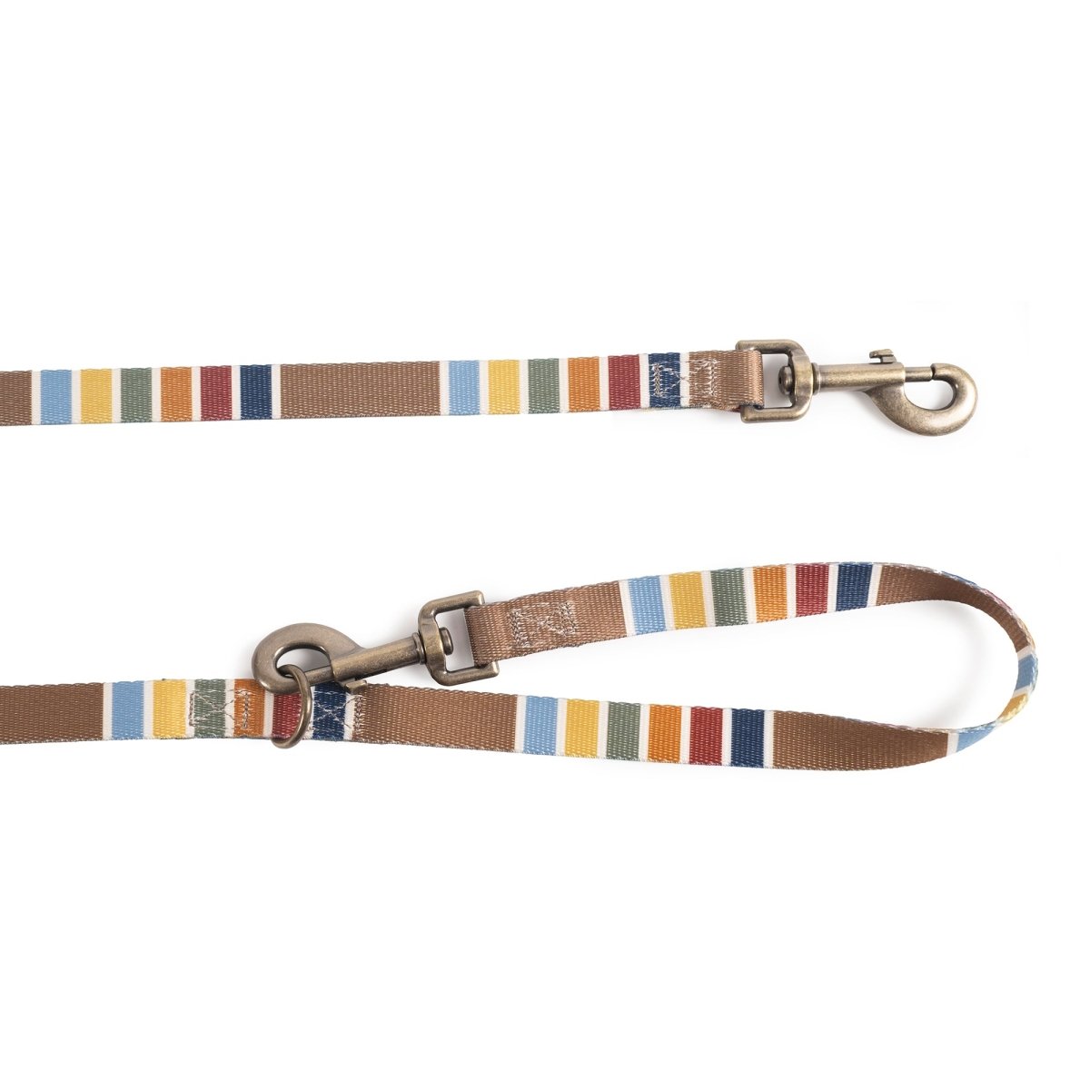 Pendleton National Park Adventure Leash - Paranoid Ranch