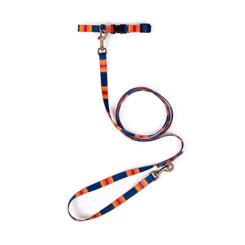 Pendleton National Park Adventure Leash - Paranoid Ranch