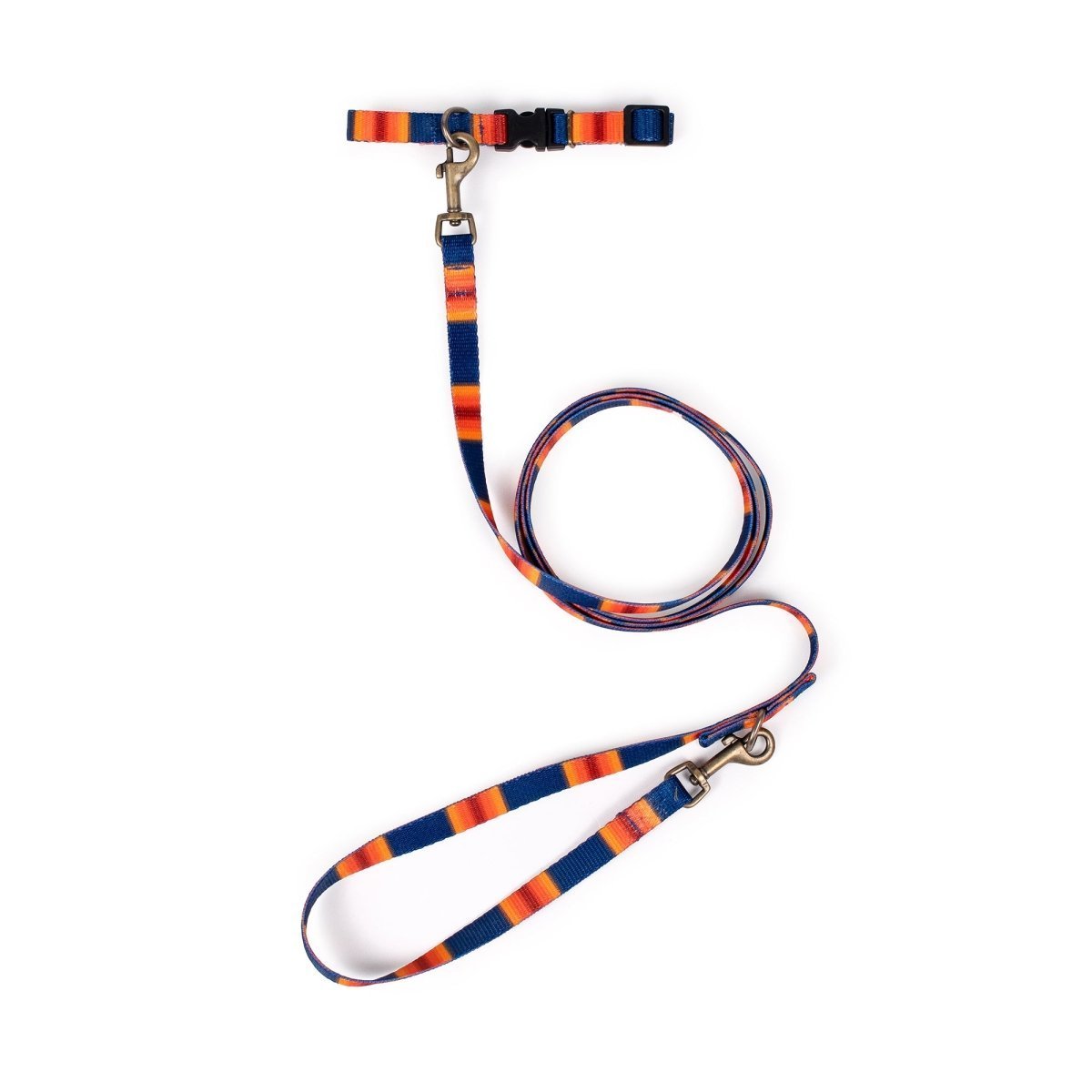 Pendleton National Park Adventure Leash - Paranoid Ranch
