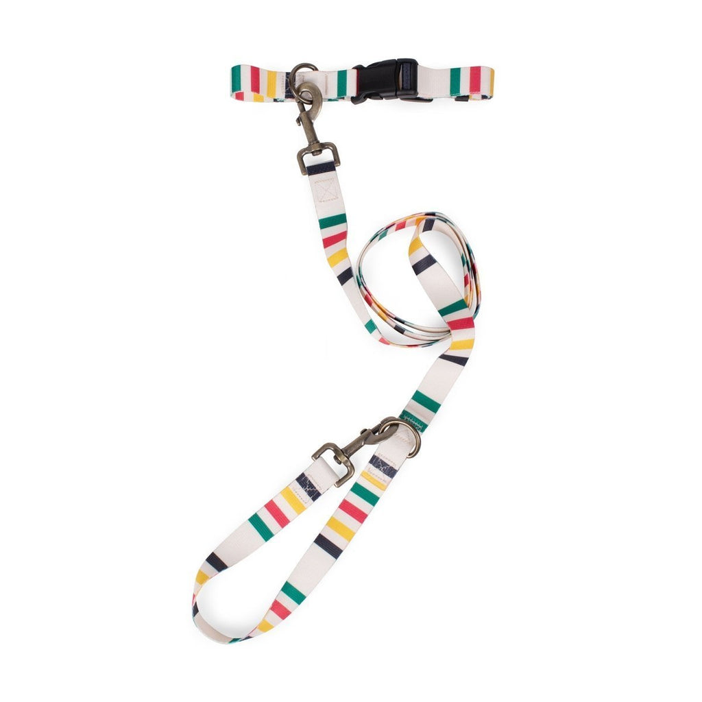 Pendleton National Park Adventure Leash - Paranoid Ranch